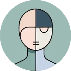 Four-section bald head silhouette in a light blue circle.